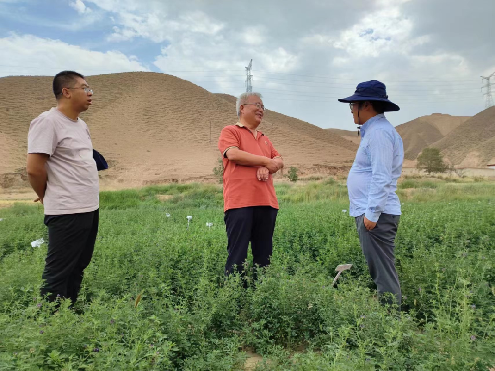 三杰牧草（杨凌）钻研院院长陈海涛博士和金昌三杰牧草有限公司副总经理史幼强光临我公司兰州饲草牧草造种试验站调查调研